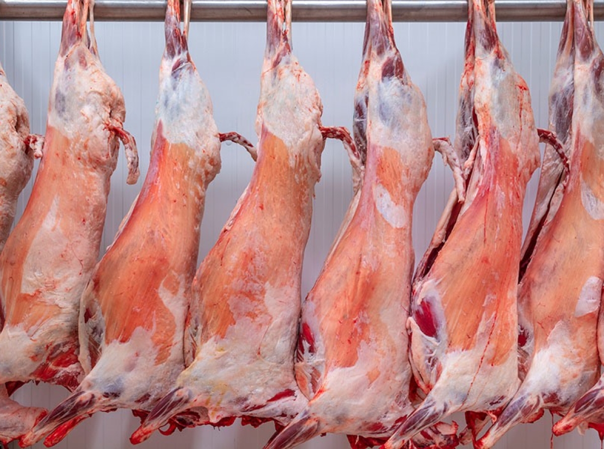 Ενημέρωση προς κτηνοτρόφους που εξυπηρετούνται από τα Δημοτικά Σφαγεία Αμφιλοχίας